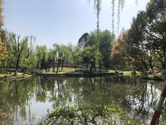 -柳浪闻莺公园