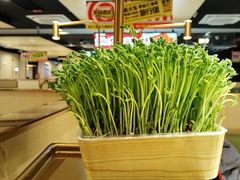 -海底捞火锅(龙湖金沙天街店)