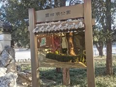 -团结湖公园