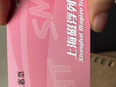 -龙阳路磁悬浮列车总站-停车场