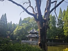 -习家池