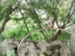 -也枫·小黄楼(南山路旗舰店)