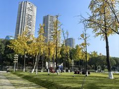 -重庆市江北嘴中央商务区中央公园