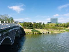 -大兴滨河森林公园