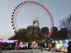 -海河游船-永乐码头(大悲院)
