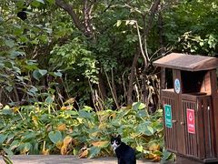 -黑龙江省森林植物园