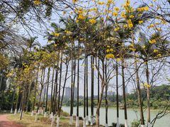 -广西壮族自治区药用植物园