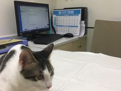 -爱诺耐芙动物医院(万博店)