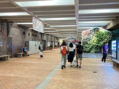 -香港大学