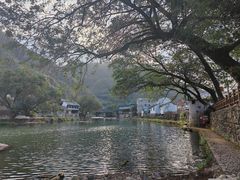 -鹿亭中村