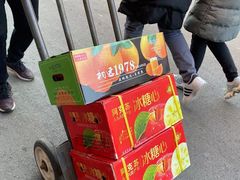 -堤口果品批发市场