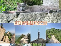 -北京凤凰岭