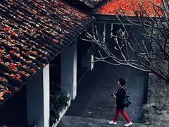 -喜洲吧·江畔老船厂·庭院餐厅(喜临院店)