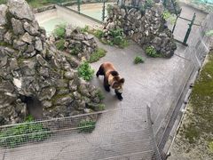 -成都动物园