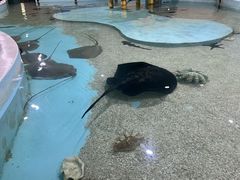 -台州海洋世界