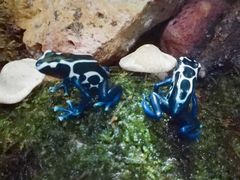 -暹罗海洋世界