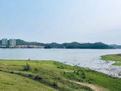 -惠州白鹭湖雅居乐喜来登度假酒店-采悦轩中餐厅
