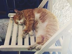 海妖酒吧-Sirena海妖日咖夜酒