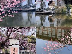 -苏州上方山国家森林公园