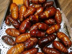 -粗粮人家·东北菜(洋桥店)