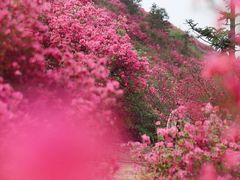 -木兰云雾山