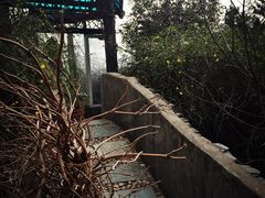 iphone_upload_pic-竹吟山房