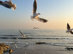 -老虎石海上公园