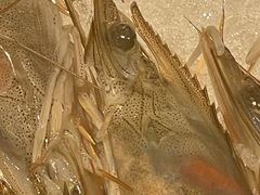-海汕记·潮汕鲜牛肉火锅·自助