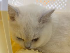 -美联众合24小时·皮肤科·外科·全科诊疗中心(华苑分院)