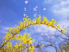 -甘井子公园