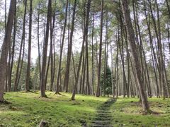 -硗碛藏寨·神木垒景区