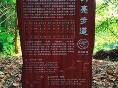 -华侨城湿地公园