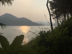 -广州市流溪河国家森林公园