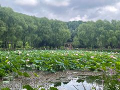 -哈尔滨北方森林动物园