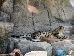 -青藏高原野生动物园