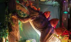 -恐龙探索乐园(磁器口店)