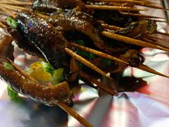 -晓靖轩烧烤(沙河风情店)