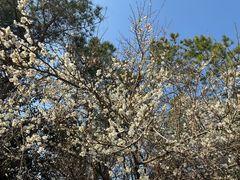 -天台山赤城山景区