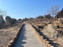 -白水寺森林公园