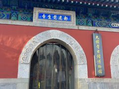 -大钟寺古钟博物馆
