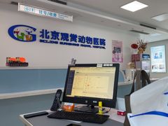 -北京观赏动物医院·24小时大型综合·猫专科·异宠专科