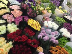 -双季花艺园艺市场(浦东店)