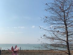 -苏州湾体育公园