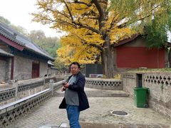 -晋祠公园