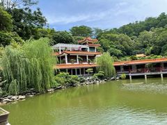 -深圳仙湖植物园