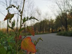 -东郊湿地公园