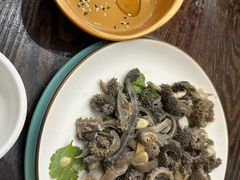 -老马家拉面(碧水花园东南)