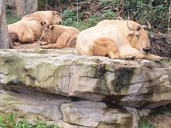 -宁波野生动物园