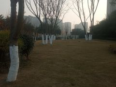 -府河摄影公园