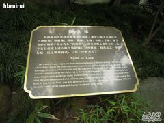 -杭州黄龙洞